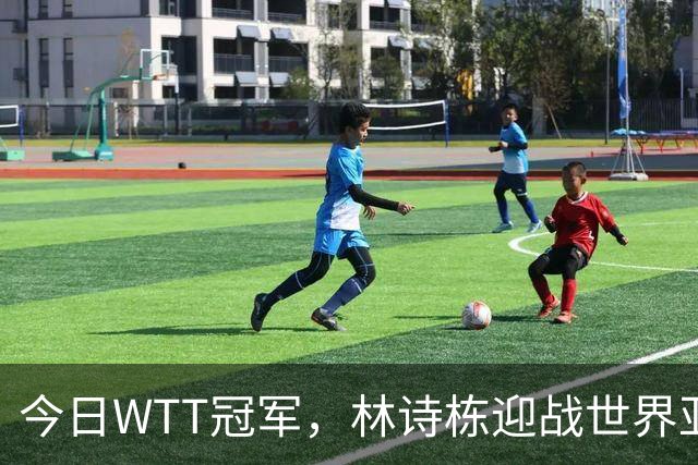 今日WTT冠军，林诗栋迎战世界亚军，如果获胜将有四大利好