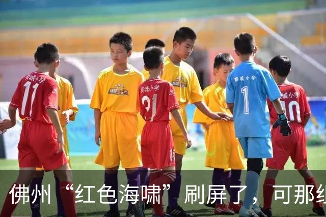 佛州“红色海啸”刷屏了，可那组数据经不起翻到第二页