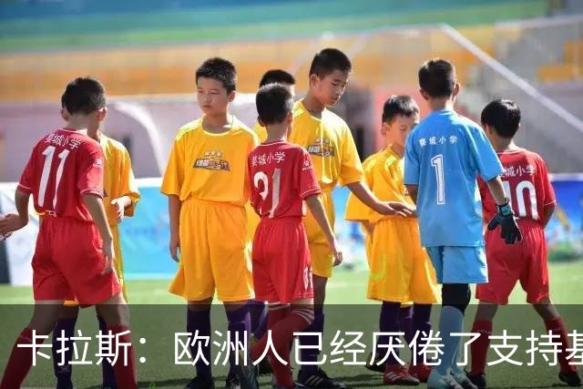 卡拉斯：欧洲人已经厌倦了支持基辅，希望欧盟顶住民意压力