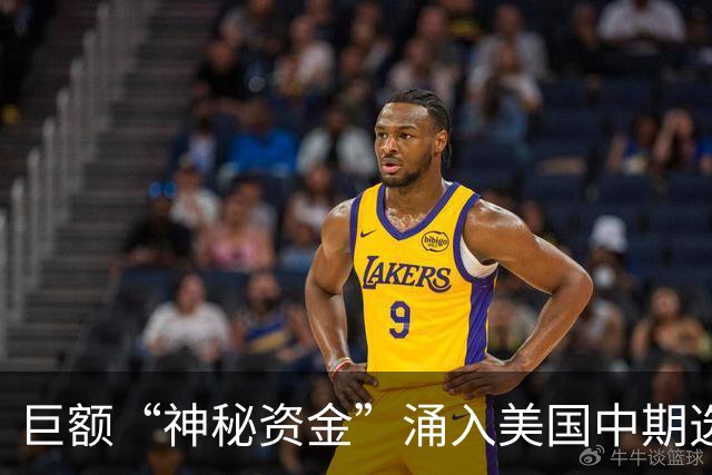 巨额“神秘资金”涌入美国中期选举