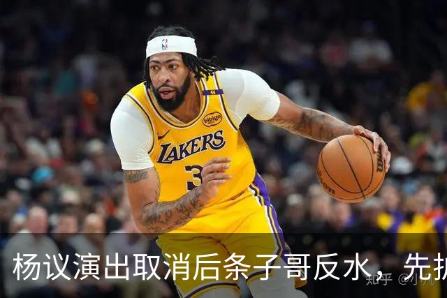 杨议演出取消后条子哥反水，先护短再打压，几十年兄弟情在流量面前说断就断