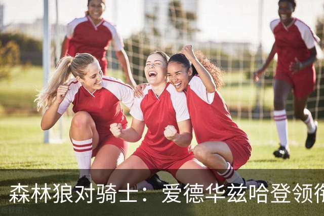 森林狼对骑士：爱德华兹哈登领衔，两队伤情成看点
