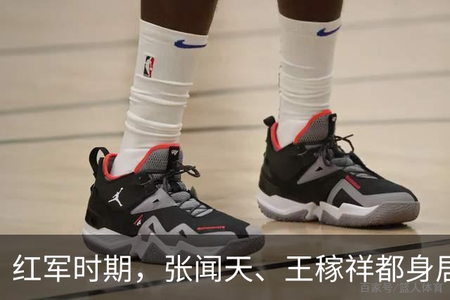 红军时期，张闻天、王稼祥都身居高位，为何后来渐渐淡出历史舞台？