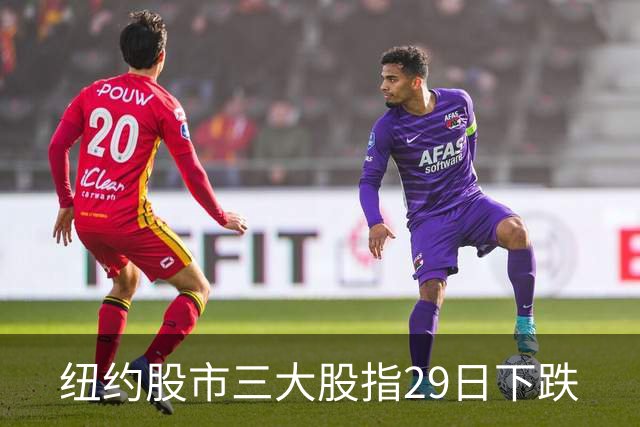 纽约股市三大股指29日下跌