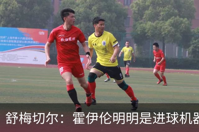 舒梅切尔：霍伊伦明明是进球机器，维韦尔来了偏要换成谢什科