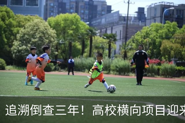 追溯倒查三年！高校横向项目迎来“大清查”，有些人该怕了！