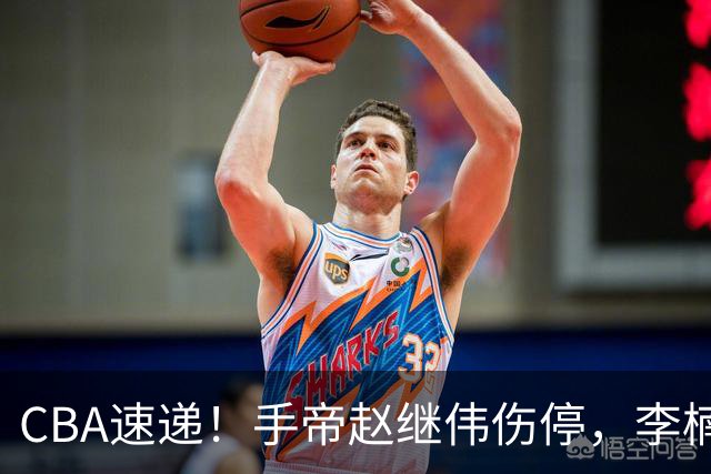 CBA速递！手帝赵继伟伤停，李楠吃一堑长一智，赵柏清日本联赛MVP！